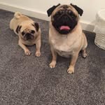 Crystal Ryan - @crystalryan4859 - Instagram