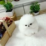Crystal Sai - @crystal.sai88 - Instagram