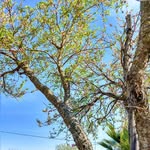 crystal_Salt - @crystal_salt_ - Instagram