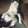 Crystal Samuels - @crystalsamuels0 - TikTok