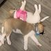 Crystal Searcy - Facebook