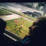 Crystal Slagle - @chonewanna - Instagram