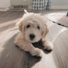 crystal_slater - @crystal_slater - TikTok