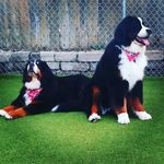 Crystal Tatum Stallings - @10actitanium - Instagram