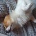 Crystal Starkey - Facebook