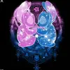 Xxcrystal_starkeyxX - @xxcrystal_starkeyxx - TikTok