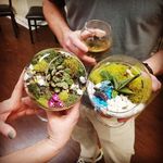 Crystal Stevenson - @twistedterrarium - Instagram