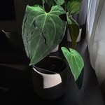 Bryn - @crystal_justice_58 - Instagram