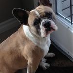 Crystal Stiles - @stiles4506 - Instagram