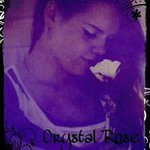 Crystal Stites - @crystalrose21.stites - Instagram