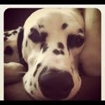 @crystalstockert - Instagram
