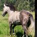 Krystal Stogner - Facebook
