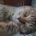 Crystal Stonebraker - Facebook