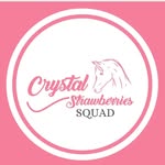 𝑪𝒓𝒚𝒔𝒕𝒂𝒍 𝑺𝒕𝒓𝒂𝒘𝒃𝒆𝒓𝒓𝒊𝒆𝒔 𝑺𝒒𝒖𝒂𝒅 - @crystal_strawberries_squad - Instagram
