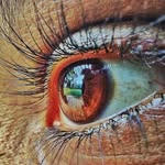 Crystal_Street_Photography - @crystal_street_photography - Instagram