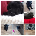 Crystal Roy Herbstreit - @crystalroyherbstreit - Instagram