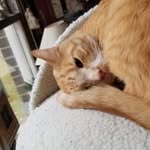 crystal streit - @crystalstreit049 - Instagram