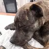 Crystal Strong - @crystal.strong29 - TikTok