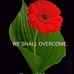 Chrystal Stubbs - Facebook