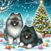 Crystal Andreas Stuber - Facebook