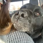 Crystal Stuber - @stuber5885 - Instagram