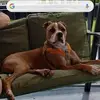 crystalstuber - @crystal.stuber - TikTok
