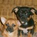Crystle Kinser-Stuckwisch - Facebook