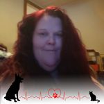 Crystal Stull - @stullcrystal - Instagram