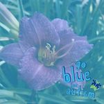 Crystal Stump - @crystalstump - Instagram