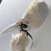 Sacrificial Rabbits- Crystal A. Suh - Facebook