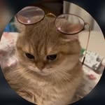 ʸᵃˢʰᵃᵃᵃ🌹 - @crystal_sunshine17 - Instagram