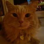 crystal.sunshine - @nadinesunshine072 - Instagram