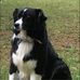 Crystal Stevenson Surles - Facebook