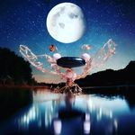 Julie•Crystals•Artist•Muso - @crystal.tantricity - Instagram