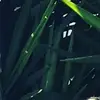 crystal.teal - @crystal.teal - TikTok