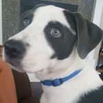 Mary Monroe - @crystal.templeton.7 - Instagram