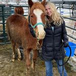 Dave Crystal Volpe - @colagirl1 - Instagram