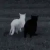 CrystalWalker - @caspevyvnaj - TikTok