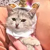 Crystal Walters - @crystalwalters.2 - TikTok