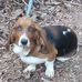 Crystal Warren - Facebook