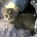 Crystal Weldon - Facebook