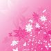 Crystal Wilmoth - Facebook
