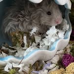Crystal Yip - @yip.crystal - Instagram