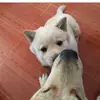 Crystal Yip - @2145918208 - TikTok