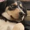 Cturner - @c1562857 - TikTok