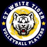 CT White Tiger Volleyball - @ctwhitetiger - Instagram