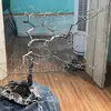 cuhoang.91 - @cuhoang.91 - TikTok