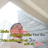 Cu Phan - @cuphan23 - TikTok
