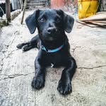 Cuauhtémoc Gutiérrez - @navigomas - Instagram