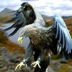 cuauhtemoc gutierrez lucatero - @cuauhtemocgutierrezl - Instagram
